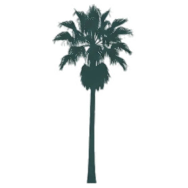 Tropical palm tree design