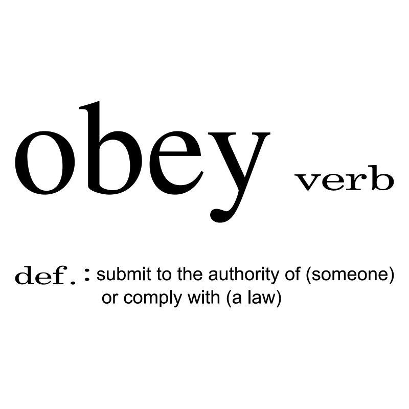 Dictionary obey dictionary gift idea funny