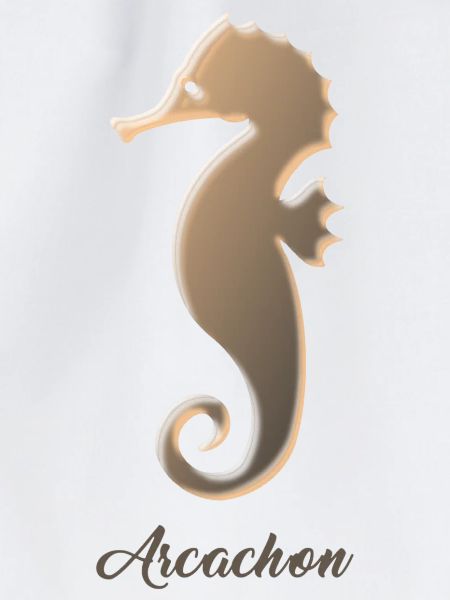 Seepferdchen