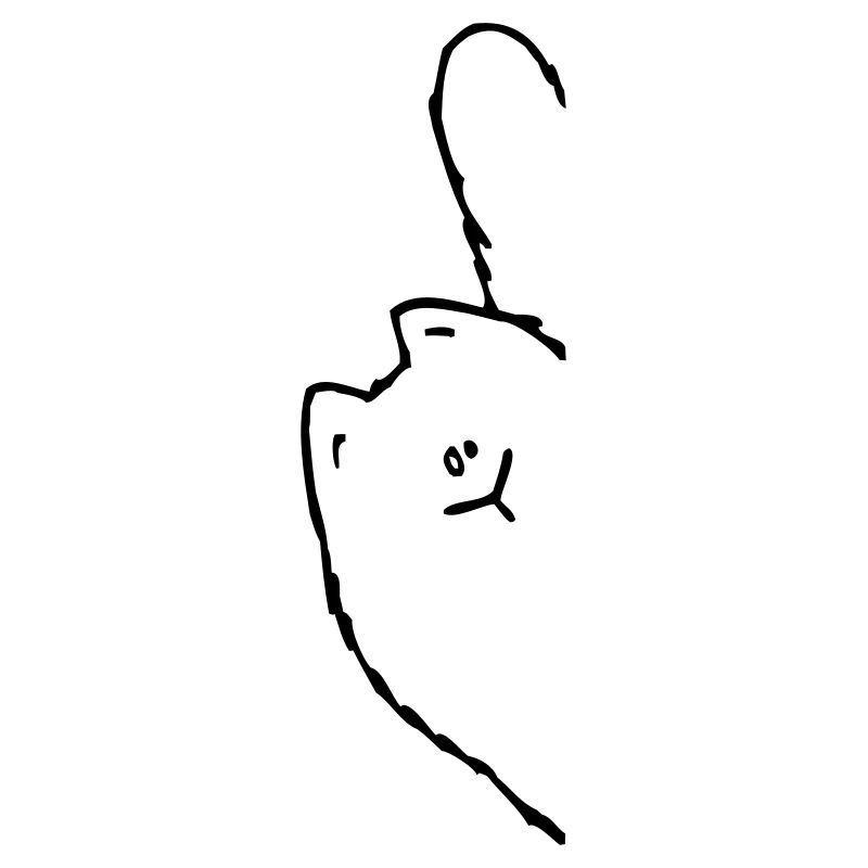 Schräge Katze