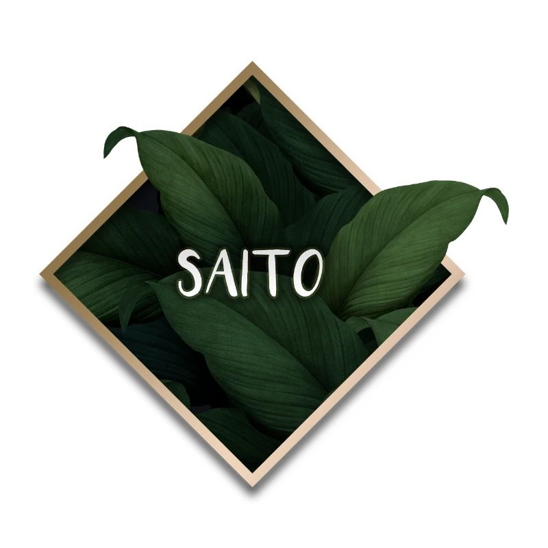 Saito