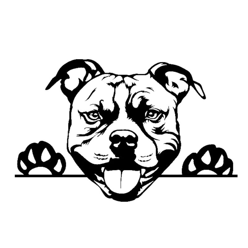 Pitbull