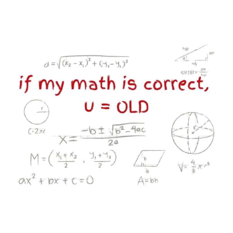 Birthday gift for math fans