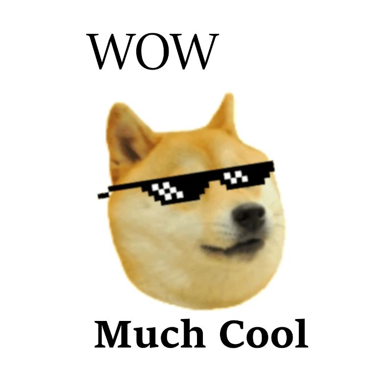 Doge Memeshirt Much cool