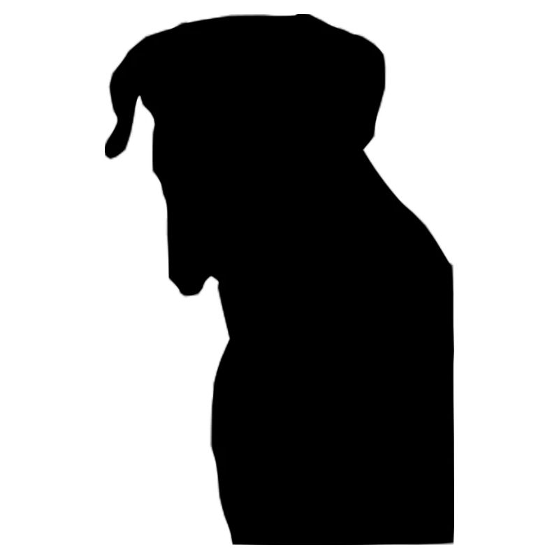 Boxer Hund Silhouette