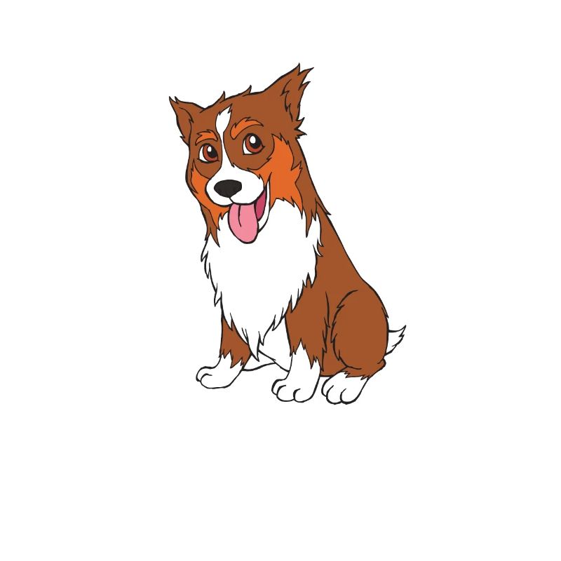 Australian Shepherd puppy