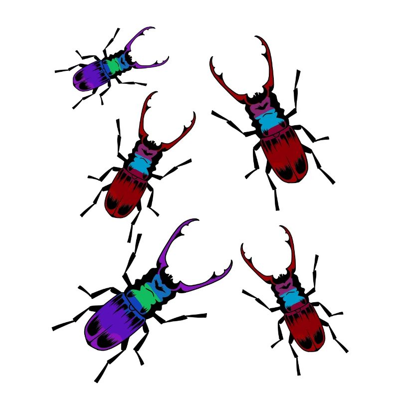 Deer Beetle Insects Insect Crawl Animals Nature