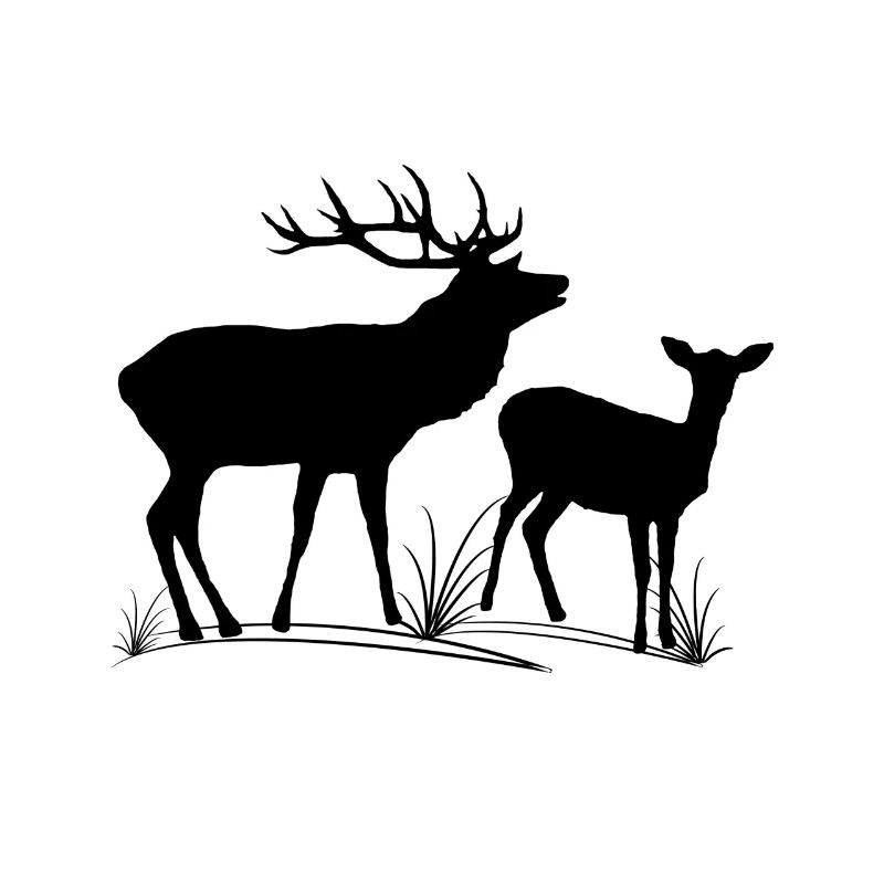 Deer, roe deer, fallow deer, forest, animals, deer