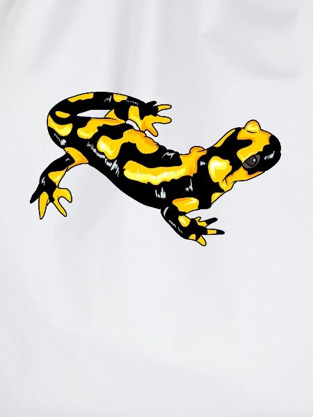 Feuersalamander Echte Salamander Feuermolch Lurch
