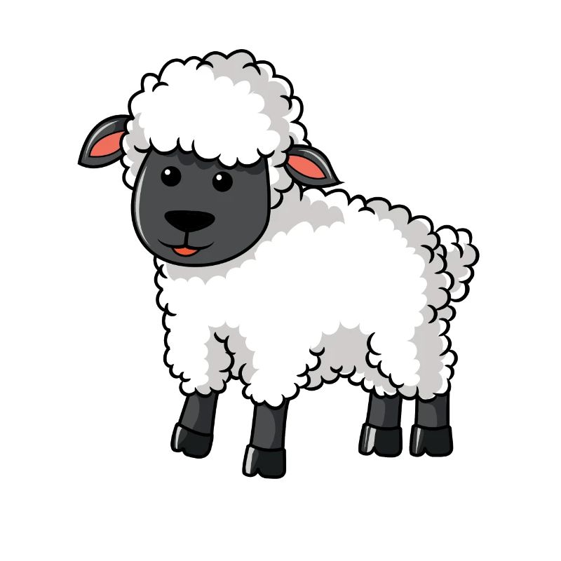 Sheep Sheep Shepherd Sheep farmer