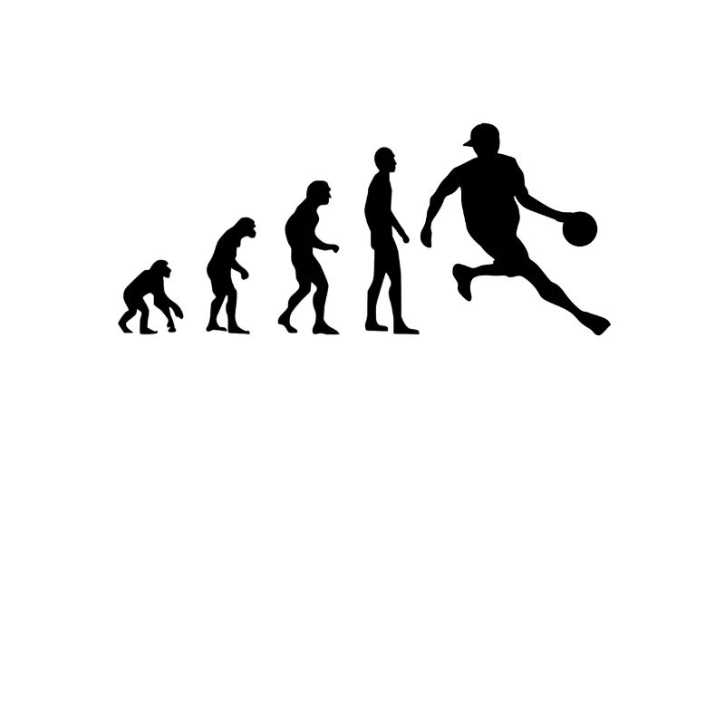 Evolution Basketball