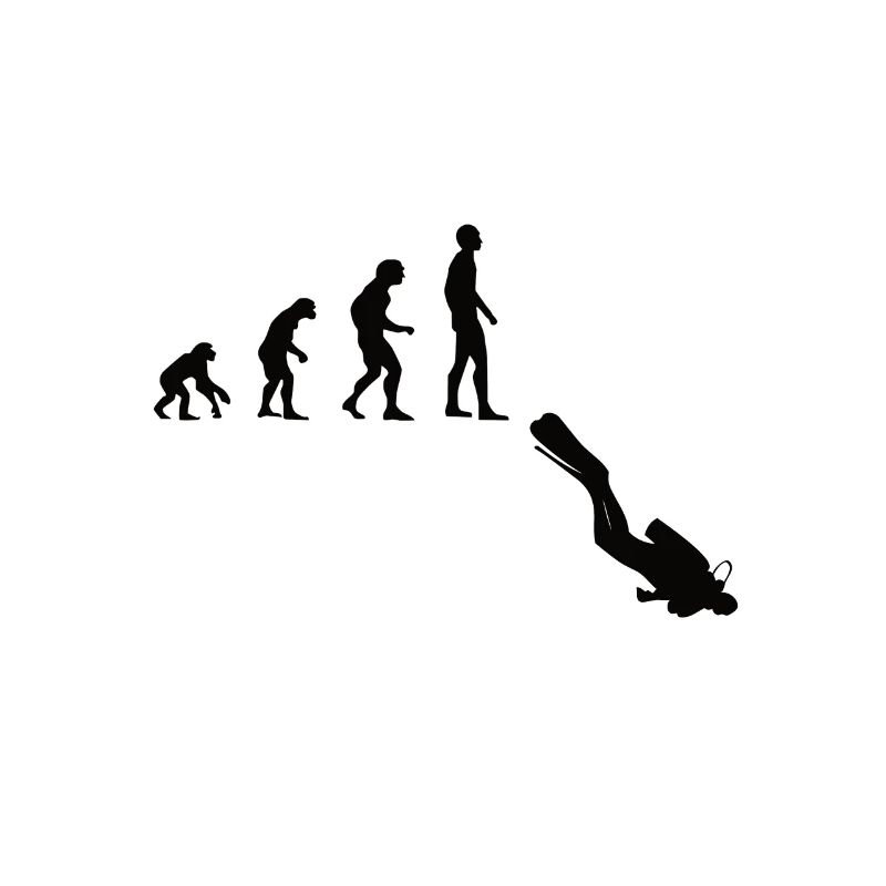 Tauchen Evolution | Menschen Entwicklung Idee