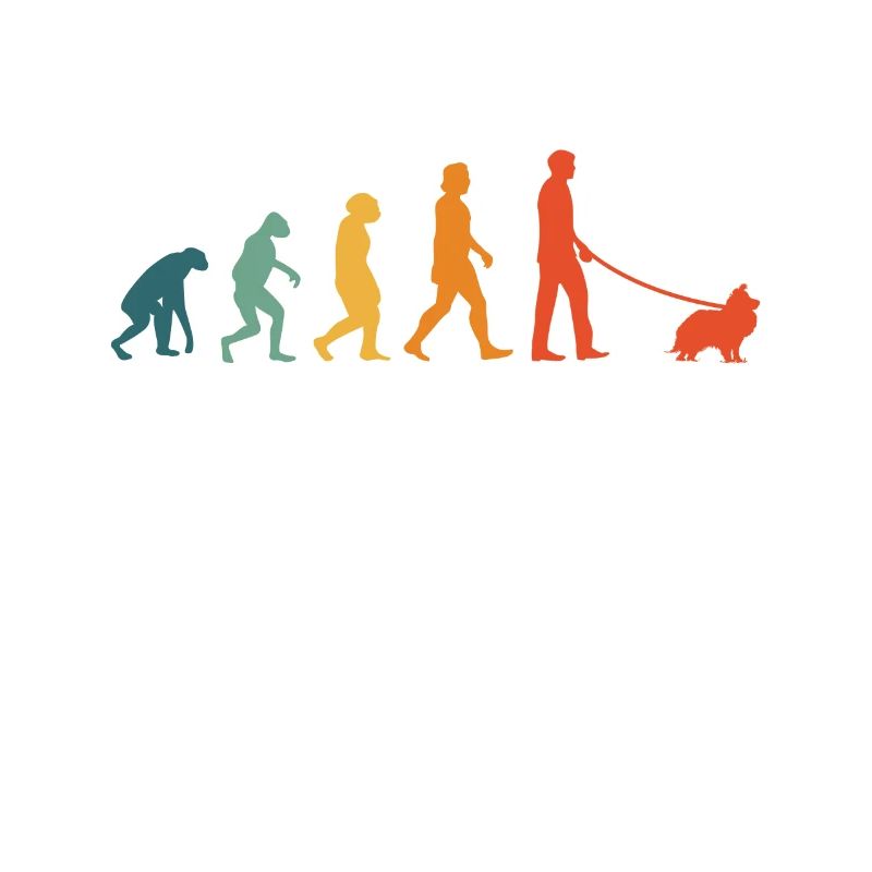 Shetland Sheepdog Evolution Retro Sheltie
