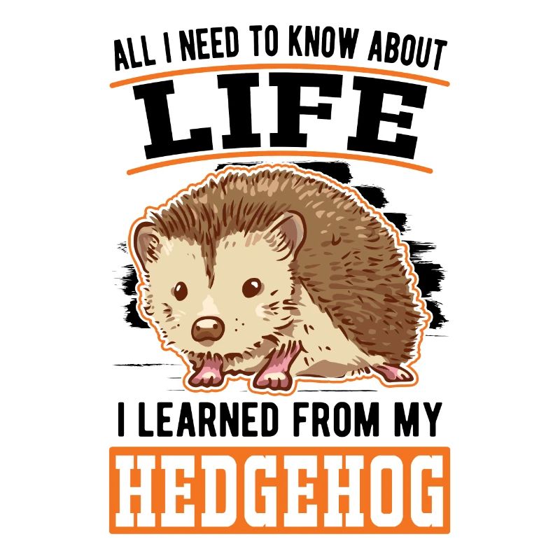 Igel Geschenk Stacheligel