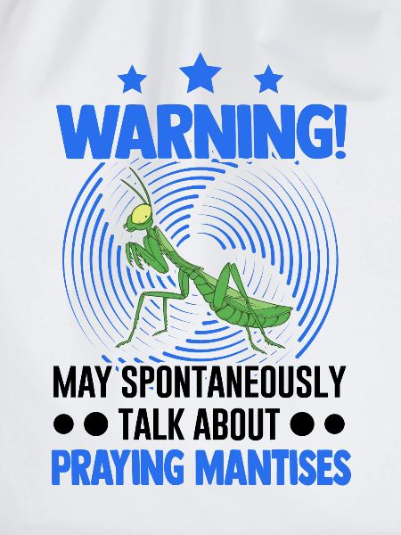 Gottesanbeterin Mantis Fangschrecke