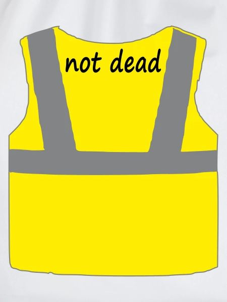 Yellow vest