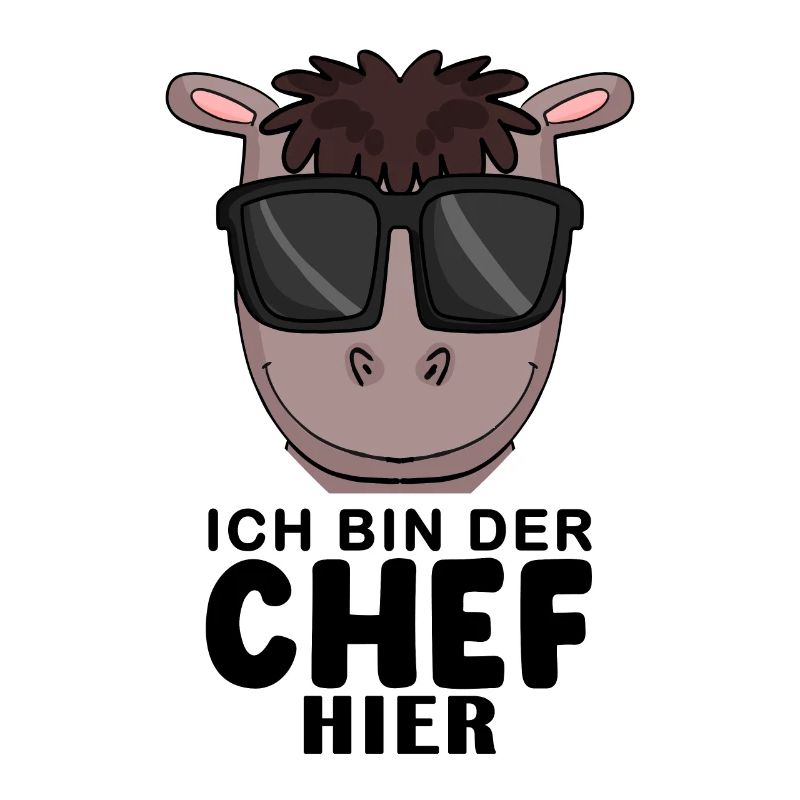 Cool Pferd Chef Spruch