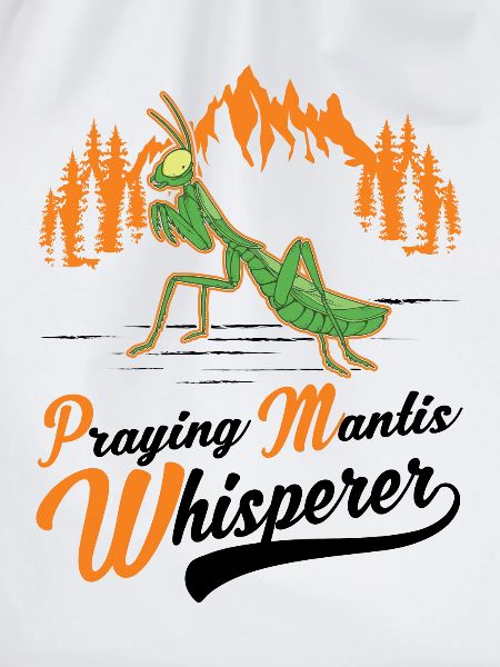 Gottesanbeterin Flüsterer Mantis Fangschrecke