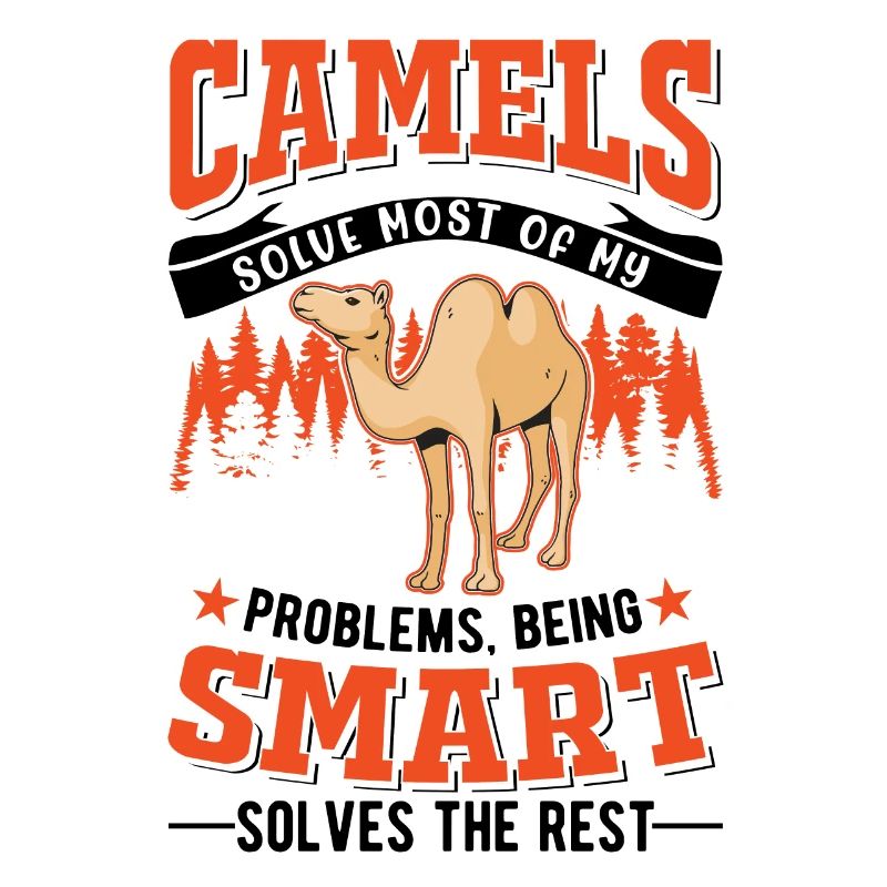 Kamel Dromedar Ägypten Geschenk Großkamel