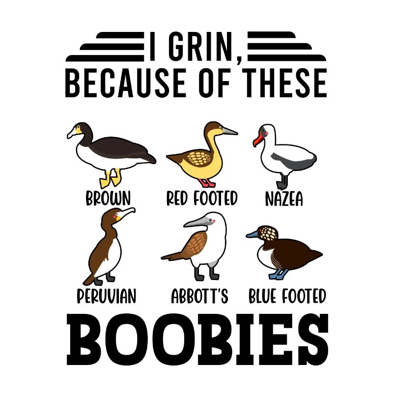 Funny Booby Seabirds Collection