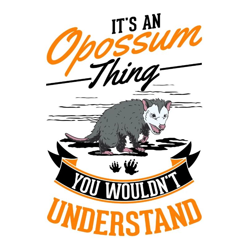Opossum Ding Possum Marsupial