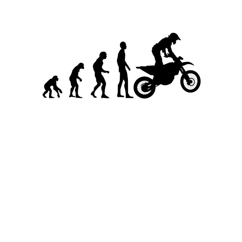 Motocross Evolution MX