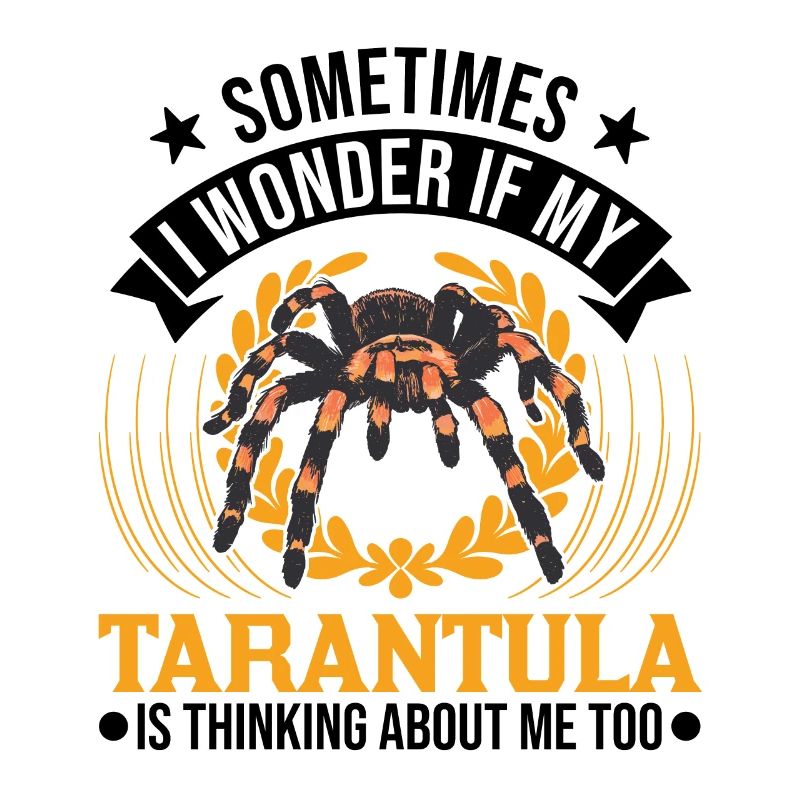 Tarentule Araignée Tarentule
