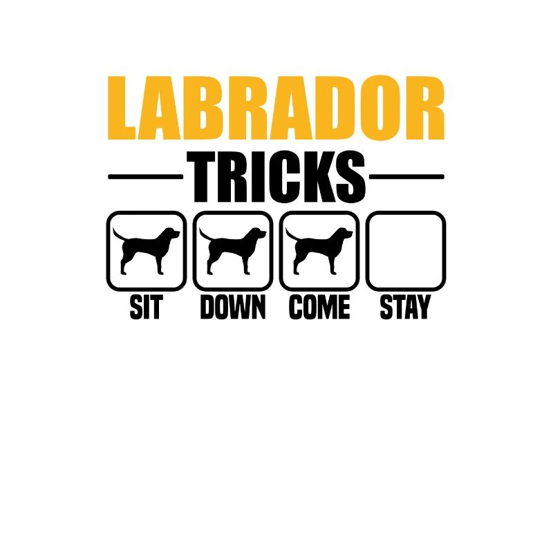 Labrador Tricks