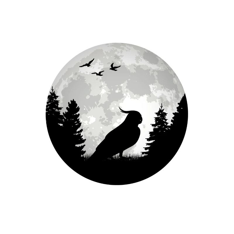 Budgie Moon Welli Parakeet