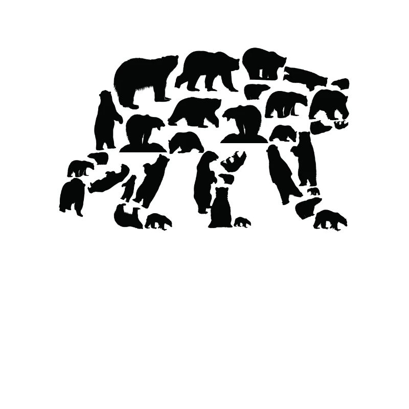 Bear Polar Bear Brown Bear Grizzly Bear Silhouette