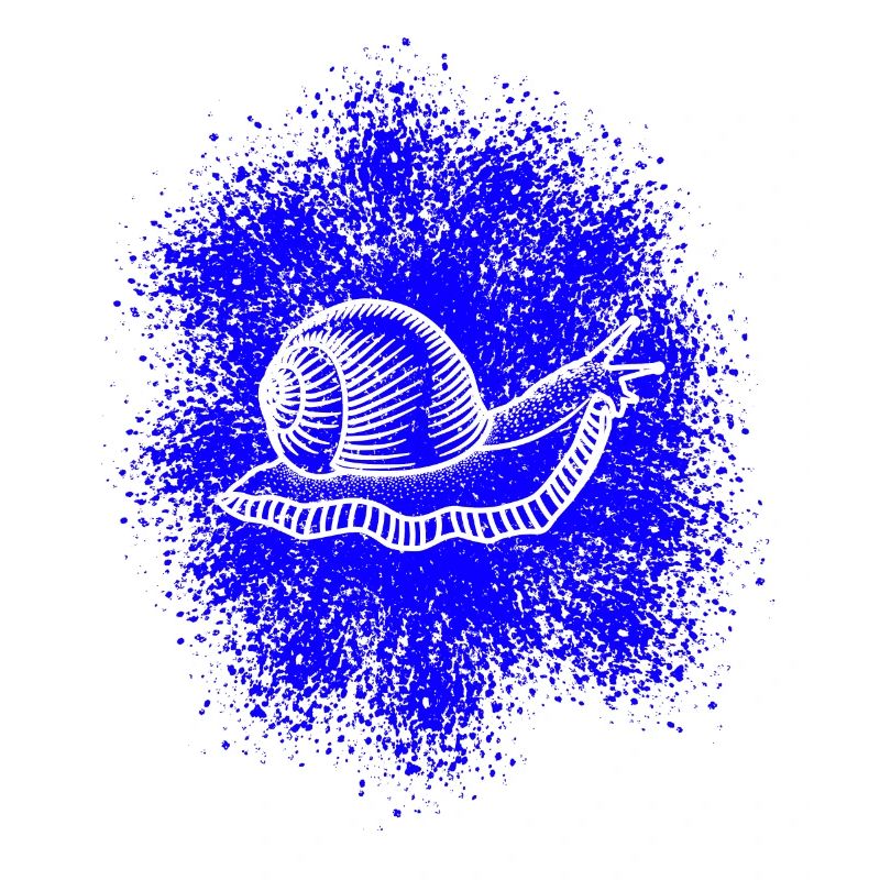 Snail with snail shell