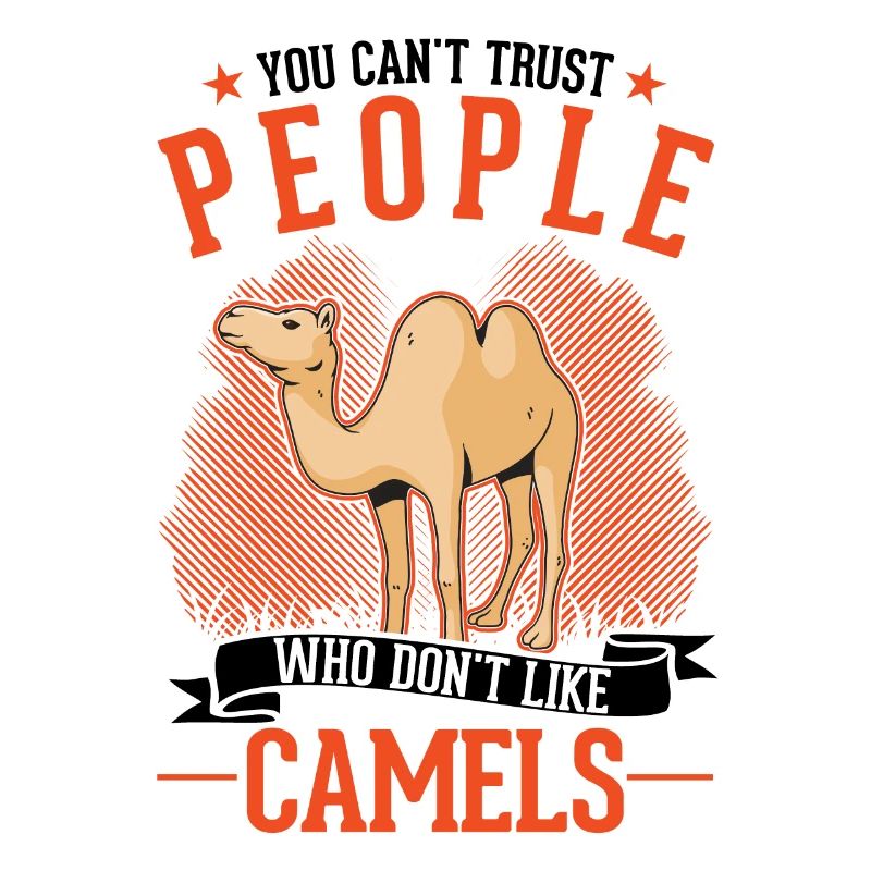 Kamel Dromedar Ägypten Geschenk Großkamel