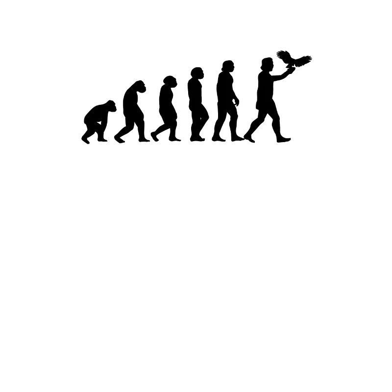 Fauconnerie de décapage Falconer Evolution