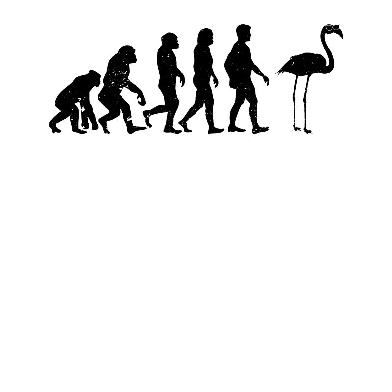 Flamingo Evolution Flamingo