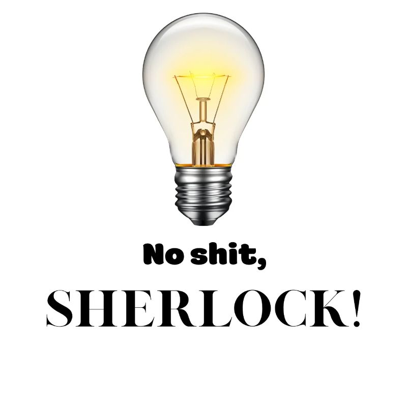 No Shit Sherlock!
