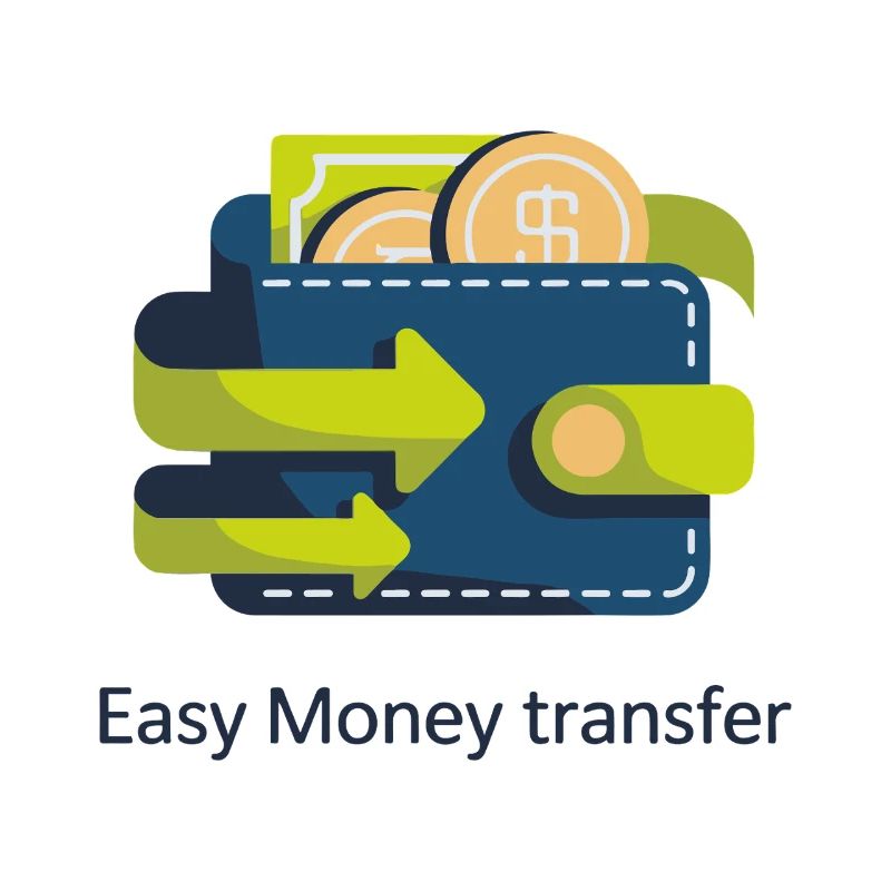 Cash Flow Wallet Icon