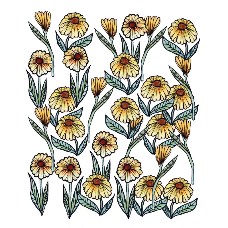 Sunlit Daisy Floral Pattern