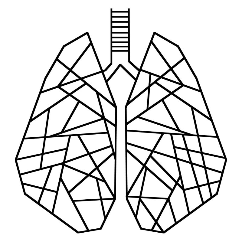 Lungs - Geometric Lungs
