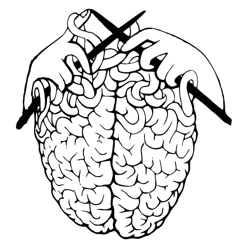 brain