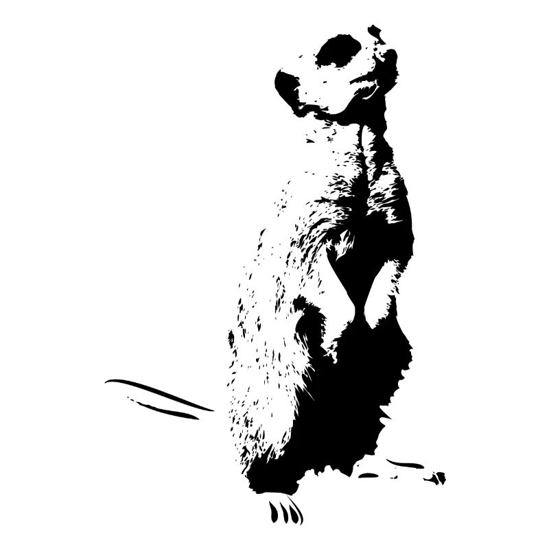 Erdmännchen