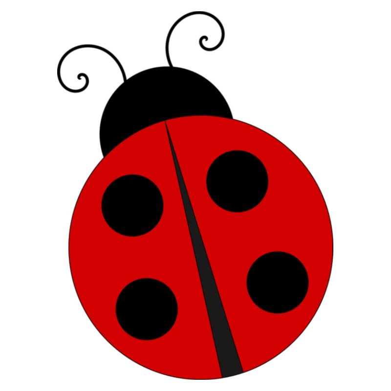 ladybug