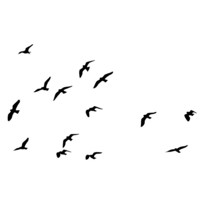 Vögel
