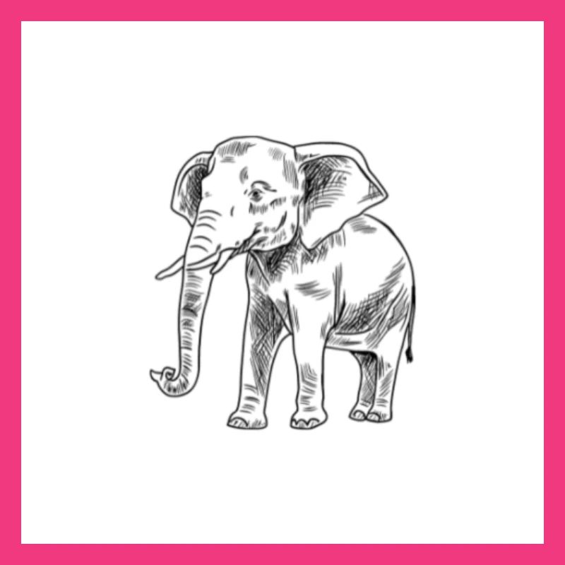 Elefant 1