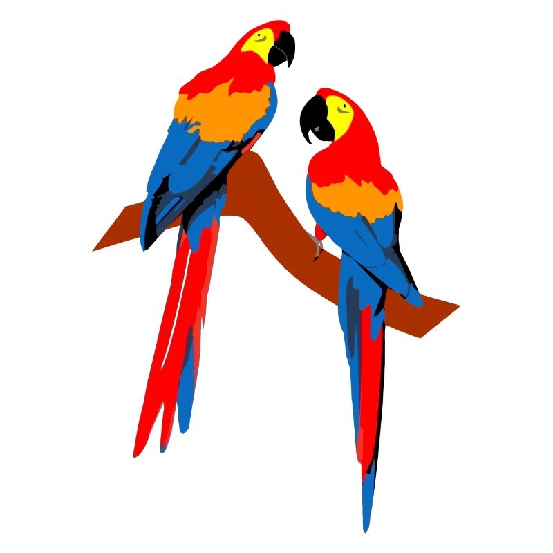 Parrots