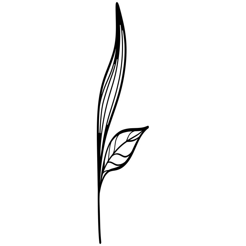 fleur