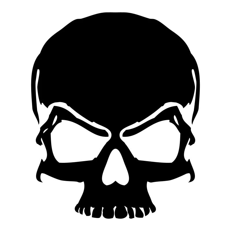 skull pirate skull