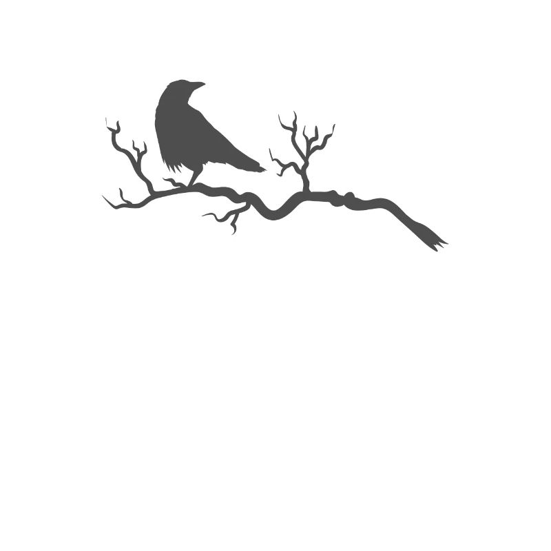 Rabe auf einem Ast Krähe Vogel Tier