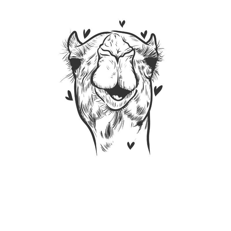 Kamel Höcker Savanne Wüste Dromedar