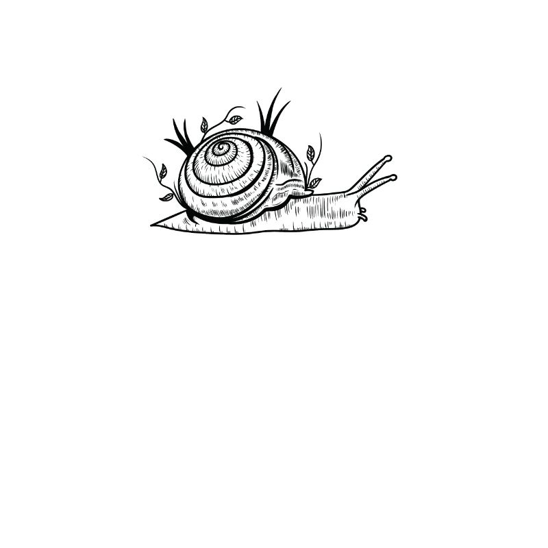 Snail Snail Shell Slow