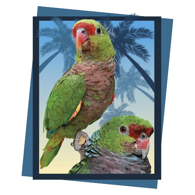 Vinaceous parrot